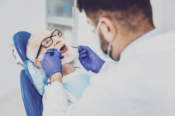 Best Emergency Dental Care for Broken or Chipped Teeth in Thonotosassa, FL